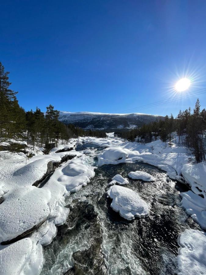 Pollfoss Skjak